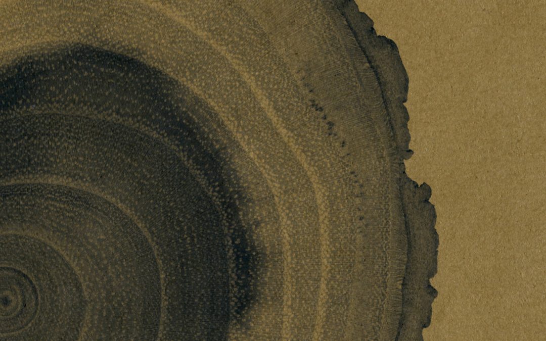 Das unentdeckte Buch – Streifen Sie mit uns durch die Wälder?