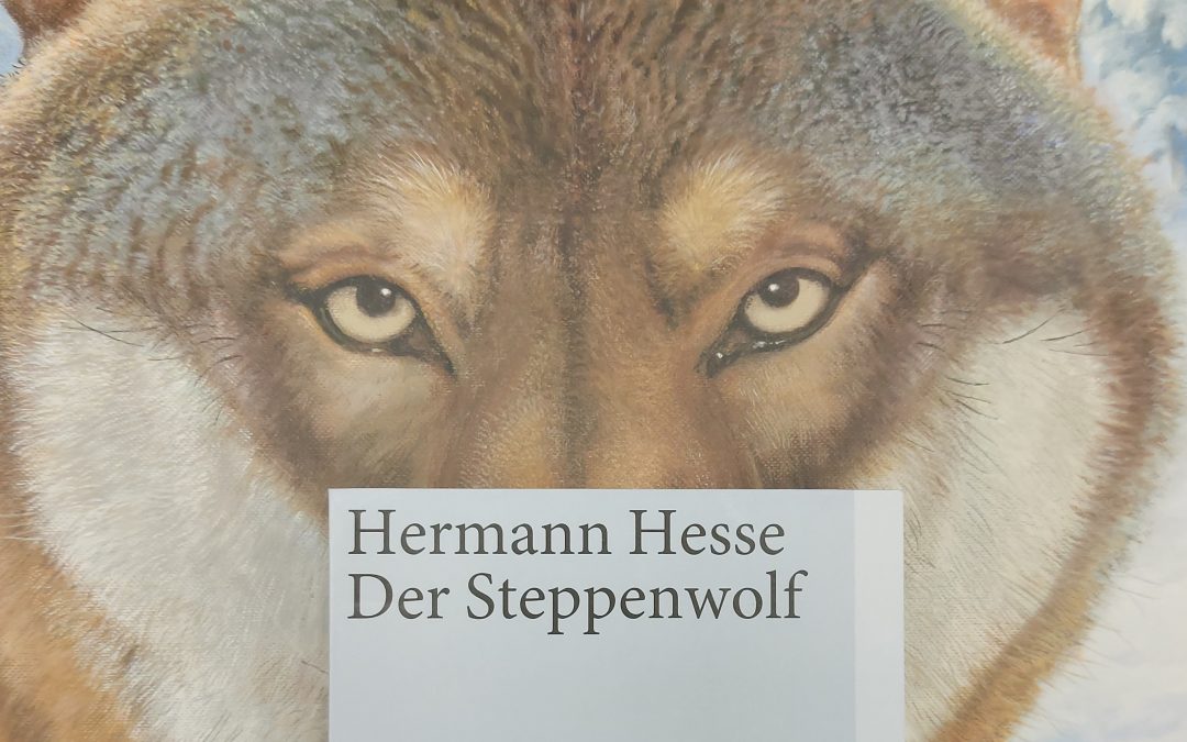 Klassiker zum Wochenende I Der Steppenwolf